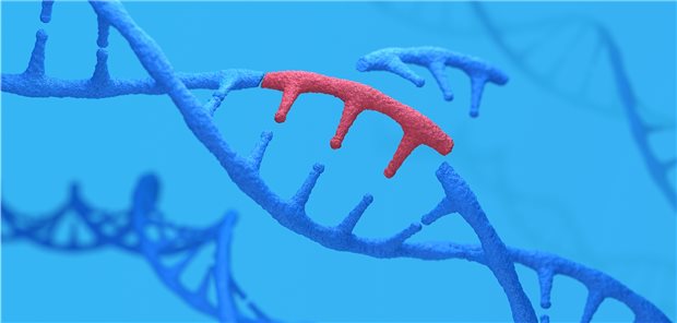Darstellung der Insertion von genetischem Material. Eine solche Veränderung des Genoms wird von Kritikern der mRNA-Vakzinen befürchtet.