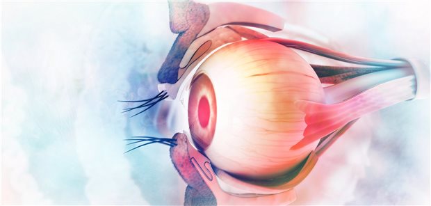 Darstellung des menschlichen Auges