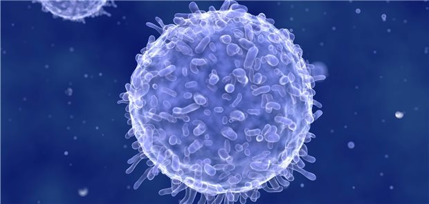 Modifizierte T-Zellen schädigen wohl Endothelien bei schwerem Verlauf Das Auftreten von Long-COVID wirft nach wie vor Fragen auf – einen Faktor bei der Entstehung könnten Kardiologen jetzt mit Autoantikörpern identifiziert haben.