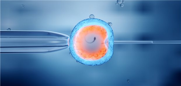 Lockdown beflügelt Kinderwunsch-Behandlungen Darstellung einer künstlichen Befruchtung: Der Kinderwunsch ist im vergangenen Jahr offenbar gewachsen – oder es war wegen des Lockdowns mehr Geld für eine IVF verfügbar.