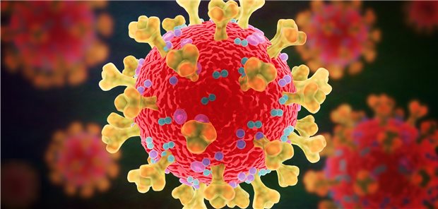 Darstellung von SARS-CoV-2. Das Spike-Protein an der Oberfläche des Virus ist hier in gelb dargestellt.