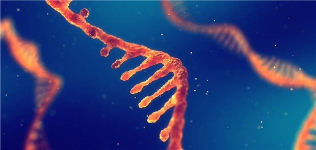 mRNA-Vakzine gegen HIV