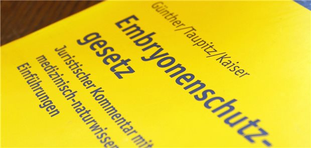 Leihmutterschaft – kein Thema für die Regierung Das 30 Jahre alte Embryonenschutzgesetz verbietet oder reguliert reproduktionsmedizinische Techniken streng. Die FDP-Fraktion wirbt für eine Liberalisierung.