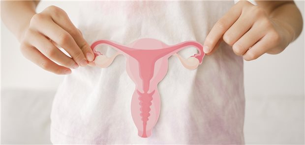 Ein Mädchen hält sich einen Uterus aus Papier vor den Bauch