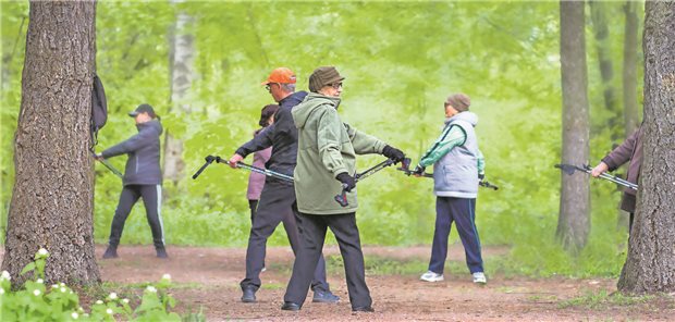 Eine Gruppe von älteren Personen steht im Wald. Alle Personen halten Nordigwalking-Stöcke in den Händen und machen eine Übungen zur Mobilisation der Beine.