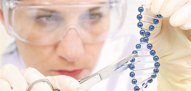Ein ethischer Konsens fehlt Das CRISPR-Cas9-System erlaubt es, genetische Sequenzen passgenau auszuschneiden und einzubauen.
