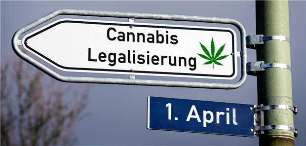 Cannabis-Gesetz unterschrieben – Freigabe am 1. April Schild mit Aufschrift "Cannabis Legalisierung"