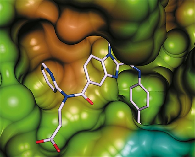 Das Dabigatran-Molekül bindet direkt an das aktive Zentrum des Gerinnungsfaktors Thrombin.