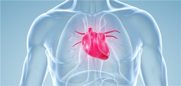 Das Fazit der Studiengruppe um Partricia Palau von der Universität Valencia ist, dass ein niedrigeres LVESV dazu beitragen könnte, diejenigen Patienten mit HFpEF und chronotroper Inkompetenz zu identifizieren, die vom Absetzen eines Betablockers mit Blick auf die kurzfristige maximale aerobe Leistungsfähigkeit besonders profitieren.