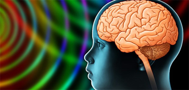 Sanfte Therapie bei Hirntumor? Das Gehirn eines Kindes: Die Behandlung von Kindern mit Medulloblastom hat häufig zu einer Beeinträchtigung der kognitiven Leistungsfähigkeit geführt. Doch damit könnte bald zumindest für bestimmte Patienten Schluss sein.