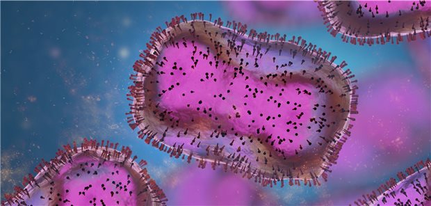 Das Genom des Affenpockenvirus ist siebenmal größer als SARS-CoV-2. Bei dem DNA-Virus sind weniger Veränderungen als bei einem mRNA-Virus zu erwarten.