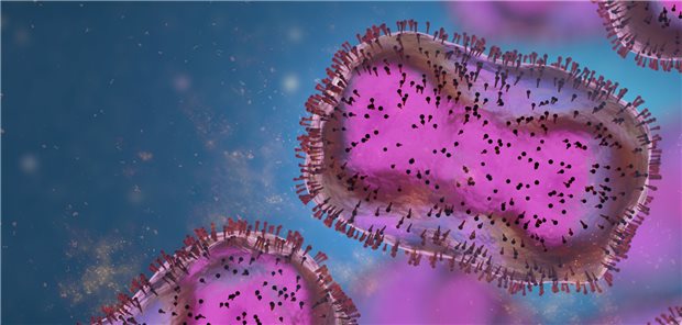 „Überraschend hohe“ Mutationsrate beim Affenpocken-Virus Das Genom des Affenpockenvirus ist siebenmal größer als das Genom von SARS-CoV-2.