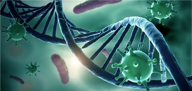 Das Genom des HI-Virus war bei einer Infizierten von körpereigenen Enzymen so mutiert worden, dass es inaktiviert wurde.