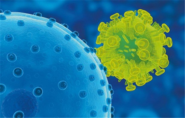 Arzneien ergänzen Maßnahmen zum Schutz vor HIV-Infektion Das HI-Virus (rechts) an der Oberfläche einer humanen Zelle