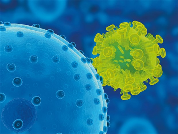 Mechanismus zur HIV-Eradikation entdeckt Das HI-Virus (rechts) an der Oberfläche einer humanen Zelle.