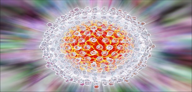 Wie Ärzte Ansteckungen verhindern können Das Hepatitis-C-Virus im 3D-Modell.