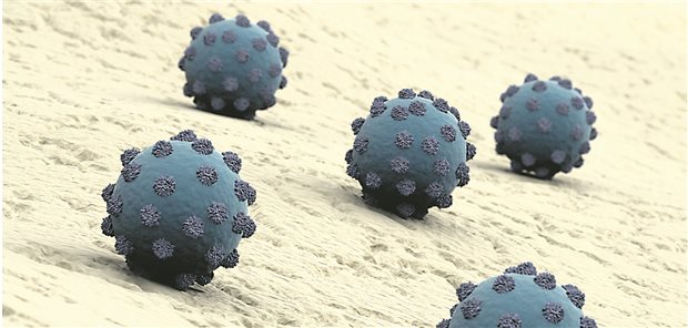 Das Hepatitis-C-Virus wird über Körperflüssigkeiten übertragen. Auch deshalb sollten Patientinnen und Patienten so früh wie möglich behandelt werden. Dem entgegen steht jedoch der Zulassungsstatus der meisten antiviralen Therapieoptionen.