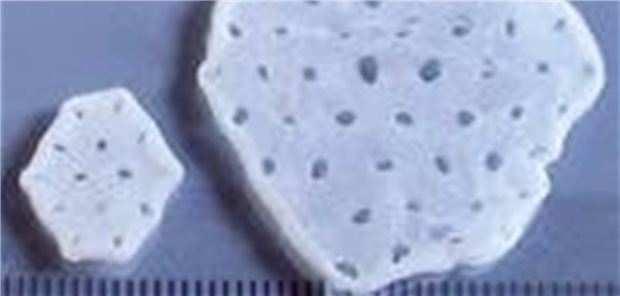 Das „Herzpflaster“ in verschiedenen Darreichungsformen.