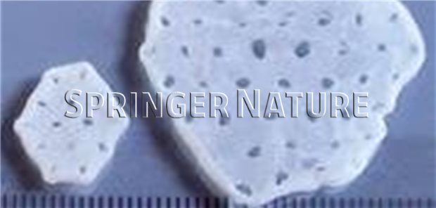 Herzpflaster Soll Schwaches Herz Starken