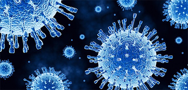 Das Influenzavirus ist umhüllt und dadurch empfindlich gegenüber Tensiden. Händewaschen ist deshalb eine wirksame Schutzmaßnahme.