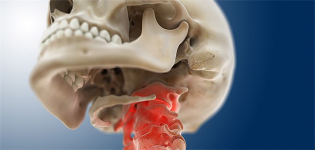 Bei zervikalem Schwindel Hand anlegen! Das Konzept eines zervikalen Schwindels wird durch Studiendaten untermauert, die die Effektivität einer Manualtherapie bei betroffenen Patienten belegen.