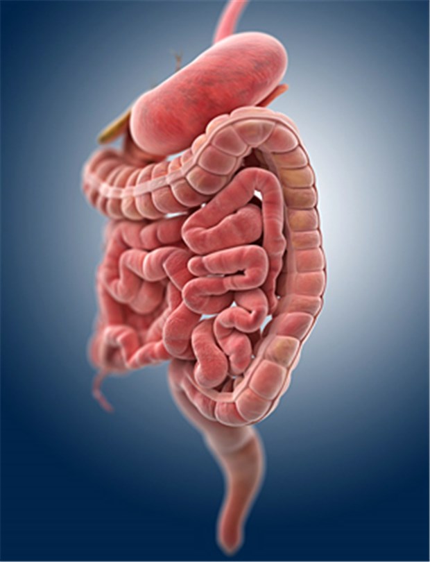 Autoimmunkranke haben oft erhöhtes Krebsrisiko Das Krebsrisiko ist im Verdauungstrakt bei Autoimmunkranken erhöht.