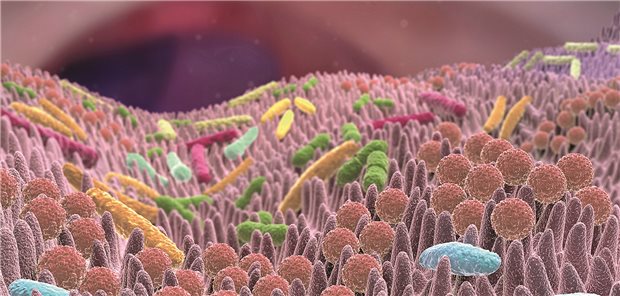 Darstellung der Darmflora mit vielen verschiedenen Bakterien des Mikrobioms. 