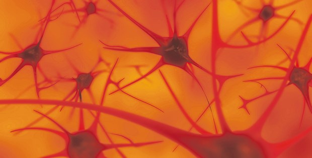 Früherkennung von Alzheimer: Den Biomarkern gehört die Zukunft Das Neuro-Netzwerk ist bei Alzheimer zunächst überaktiviert.