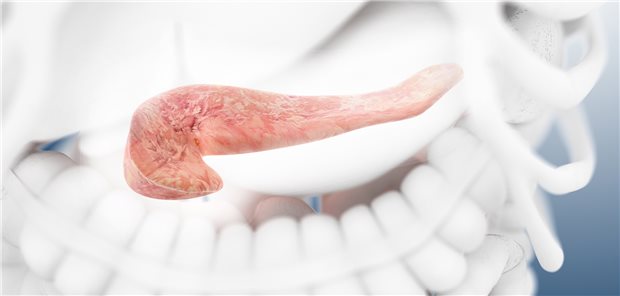 Warum TRPV6 Pankreatitis-Forscher interessiert Das Pankreas und Entzündungsprozesse in diesem Organ: Vieles ist hier noch nicht erforscht.