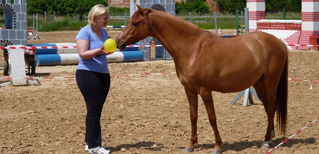 Von Pferden lernen Das Pferdecoaching in Dannigkow, Jerichower Land, war für die Allgemeinmedizinerin Anett Primus ebenso aufschlussreich wie faszinierend.