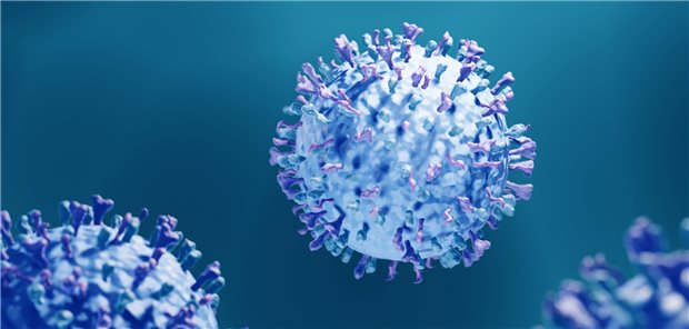 Das Respiratorische Synzytial-Virus (RSV) verursacht vor allem bei Säuglingen und älteren Erwachsenen schwere Atemwegserkrankungen.
