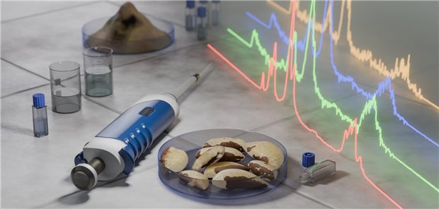 Paranüsse in einer Petrischale in einem Labor