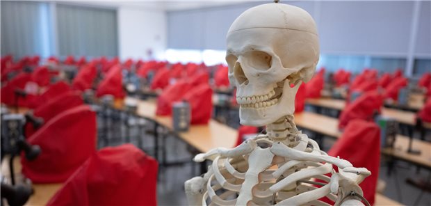 Das Skelettmodell kann warten, bis die Ärztliche Approbationsordnung irgendwann einmal reformiert sein wird. Die gegenwärtigen Reformpläne sollten umgehend beerdigt werden, fordert die  Arbeitsgemeinschaft der Wissenschaftlichen Medizinischen Fachgesellschaften.