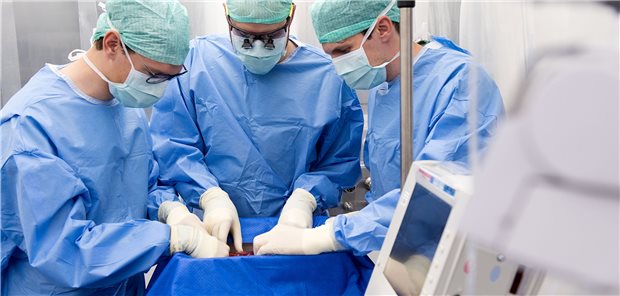 Das Team schließt die Spenderleber im Reinraum an die Perfusionsmaschine an.