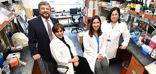Krebsmolekül mit Doppelfunktion Das Team von der Augusta University hat die beiden Krebs-steuernden Moleküle untersucht (zweite von links: Dr. Mumtaz Rojiani).