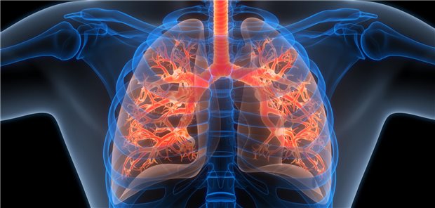 Das Wissenschaftlerteam empfiehlt, COPD-Patientinnen und -Patienten anhand ihrer Exazerbationshistorie Risikogruppen zuzuteilen, um beispielsweise im Falle einer akuten Dyspnoe alle möglichen Differenzialdiagnosen sorgfältig abwägen zu können.
