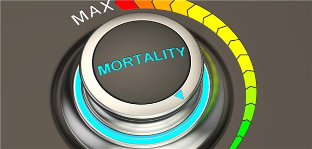 Das entscheidende Ergebnis dieser Analyse ist aus Sicht der Forschend der deutliche Rückgang der Mortalitätsraten in der Altersgruppe der 35- bis 69-Jährigen bei fast allen Tumorentitäten. Dieser positive Trend sei wahrscheinlich auf den Erfolg der Präventionsprogramme, der Früherkennungsmaßnahmen sowie der verbesserten Diagnostik- und Therapiemethoden zurückzuführen.