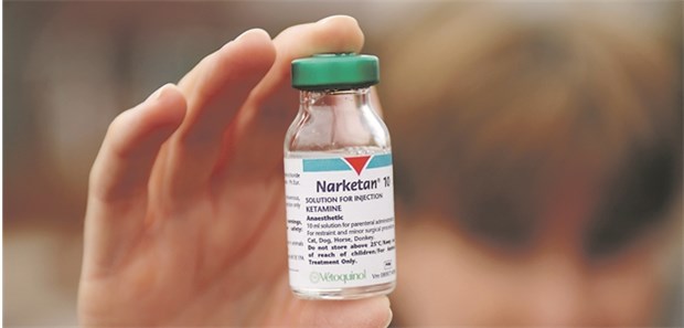Ein Anästhetikum zur Behandlung bei schweren Depressionen? Das erstmals 1962 synthetisierte Ketamin wird als Anästhetikum eingesetzt.