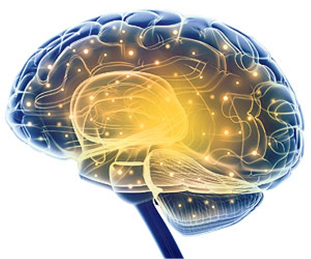 Die dritte Neuro-Revolution Das menschliche Gehirn gibt nach wie vor viele Rätsel auf.