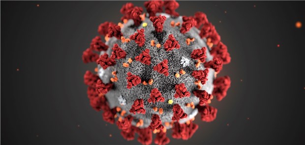 G7-Staaten verabreden abgestimmtes Vorgehen Das neuartige Coronavirus 2019-nCoV in einer Illustration.