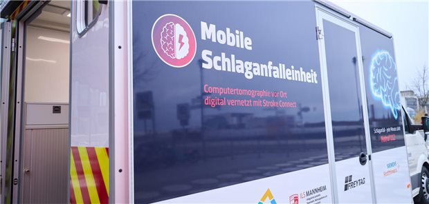 Ein Transporter im Rhein-Necker-Kreis