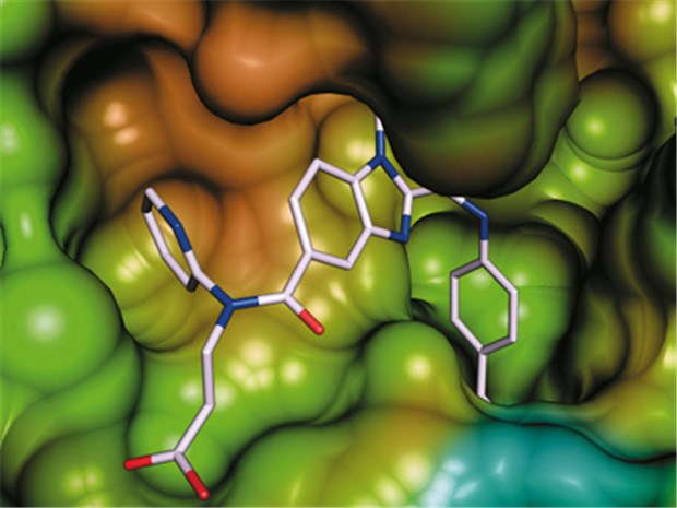 Das oral verabreichte Pradaxa® enthält den Thrombinhemmer Dabigatran. © Boehringer Ingelheim