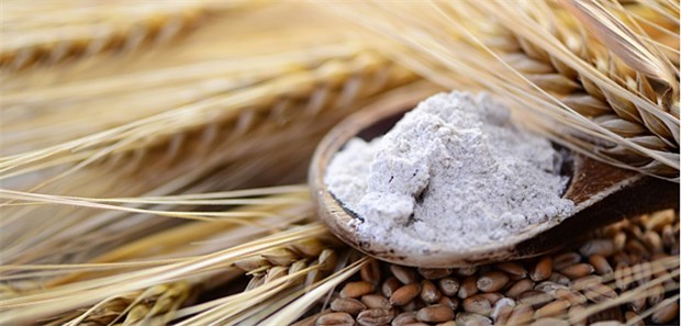 Neuropathie und Zöliakie treten oft zusammen auf Das strikte Befolgen einer glutenfreien Diät ist bei Zöliakie die Therapie der Wahl.