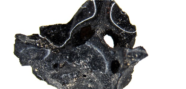 Vesuv-Opfer mit glasartigen Hirn-Strukturen Das undatierte Foto zeigt ein dunkel schimmerndes, glasartiges Fragment eines Gehirns.