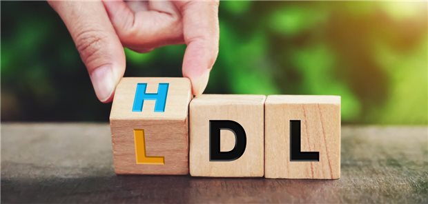 Drei Holzklötze liegen nebeneinander und buchstabieren HDL. Der erste wird von einer Hand gedreht, so dass ein L zu vorschein kommt, und LDL buchstabiert.