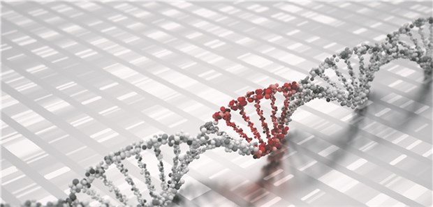 Neue und seltene Muskelkrankheit entdeckt Defekte im BICD2-Gen können ein breites Spektrum von neuromuskulären Krankheiten auslösen.