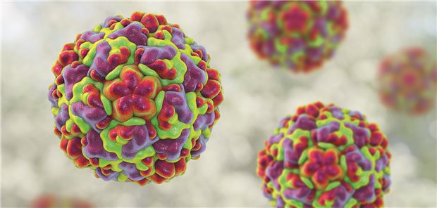 Dem ARE-Wochenbericht zufolge waren in der 35. Kalenderwoche u.a. Rhinoviren aktiv (3D-Illustration.