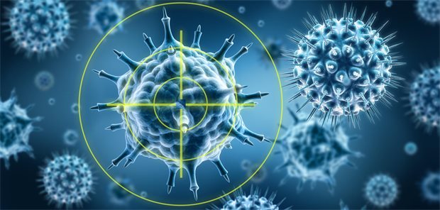 Immunsystem