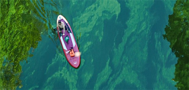 Blaualgen in Badeseen: Was für Ärzte rund um das Thema Cyanobakterien wichtig ist Ein Mann durchquert auf einem Stand-Up-Paddle-Board den Teppich aus Blaualgen in dem von der Havel gespeisten Stößensee.