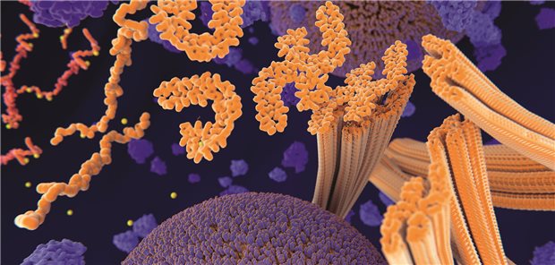 Alzheimer-Diagnose: Biomarker p-tau217 ab kommendem wohl Jahr praxisrelevant Symbolische Darstellung von Tau-Proteinen im Gehirn.